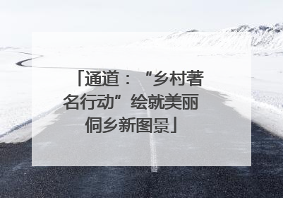 通道：“乡村著名行动”绘就美丽侗乡新图景