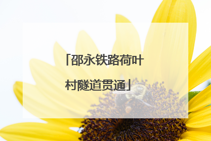 邵永铁路荷叶村隧道贯通
