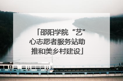 邵阳学院“艺”心志愿者服务站助推和美乡村建设
