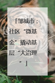 邹城市：社区“微基金”撬动基层“大治理”
