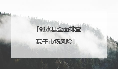 邻水县全面排查粽子市场风险