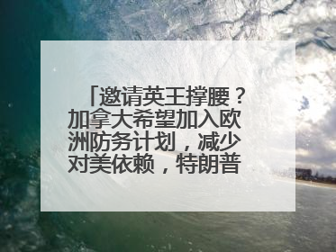 邀请英王撑腰？加拿大希望加入欧洲防务计划，减少对美依赖，特朗普：成为美国第51个州，免费用“金穹”