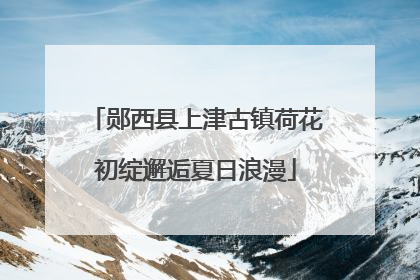 郧西县上津古镇荷花初绽邂逅夏日浪漫