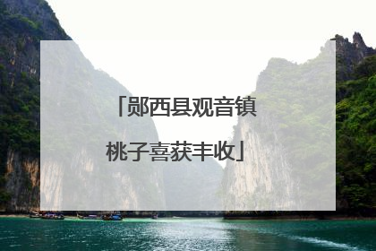 郧西县观音镇桃子喜获丰收
