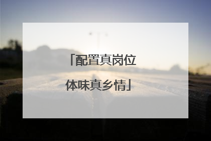 配置真岗位 体味真乡情