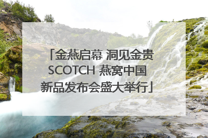 金燕启幕 洞见金贵 SCOTCH 燕窝中国新品发布会盛大举行