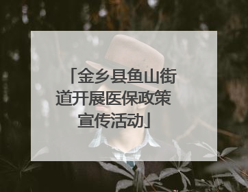 金乡县鱼山街道开展医保政策宣传活动