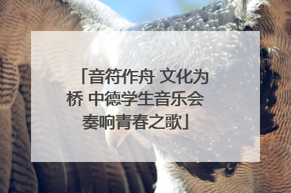 音符作舟 文化为桥 中德学生音乐会奏响青春之歌