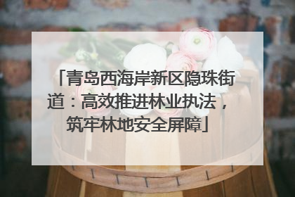 青岛西海岸新区隐珠街道：高效推进林业执法，筑牢林地安全屏障