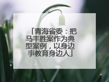 青海省委：把马丰胜案作为典型案例，以身边事教育身边人