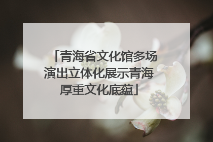 青海省文化馆多场演出立体化展示青海厚重文化底蕴