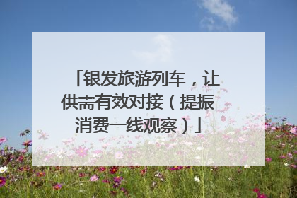 银发旅游列车，让供需有效对接（提振消费一线观察）