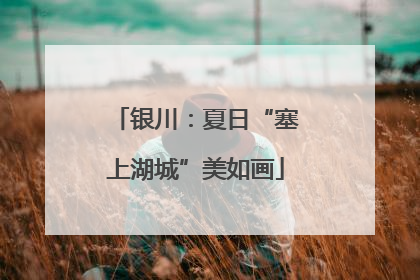 银川：夏日“塞上湖城”美如画