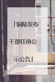 铜陵发布干部任前公示公告