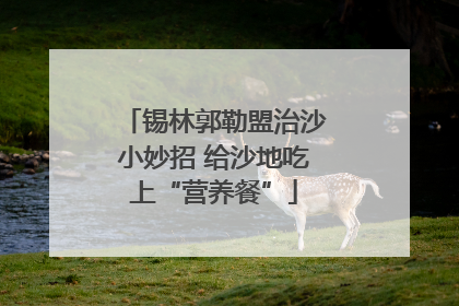 锡林郭勒盟治沙小妙招 给沙地吃上“营养餐”