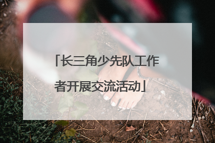 长三角少先队工作者开展交流活动