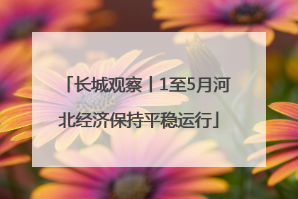 长城观察丨1至5月河北经济保持平稳运行