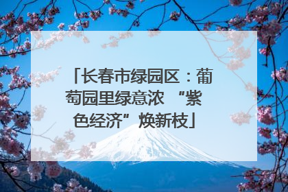 长春市绿园区：葡萄园里绿意浓 “紫色经济”焕新枝