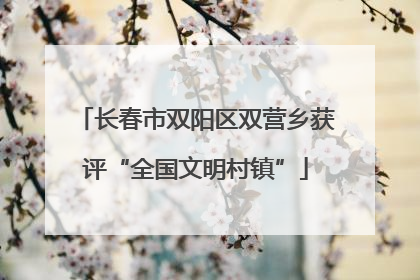 长春市双阳区双营乡获评“全国文明村镇”