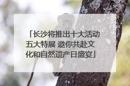 长沙将推出十大活动五大特展 邀你共赴文化和自然遗产日盛宴