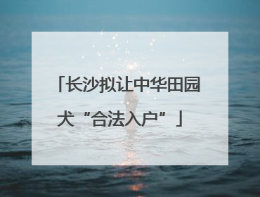 长沙拟让中华田园犬“合法入户”