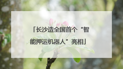 长沙造全国首个“智能押运机器人”亮相
