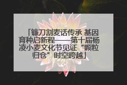 镰刀割麦话传承 基因育种启新程——第十届杨凌小麦文化节见证“颗粒归仓”时空跨越