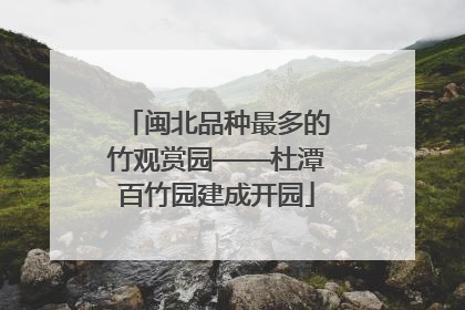 闽北品种最多的竹观赏园——杜潭百竹园建成开园