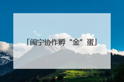 闽宁协作孵“金”蛋