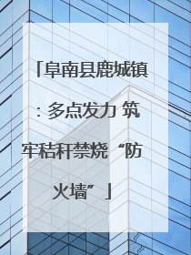 阜南县鹿城镇：多点发力 筑牢秸秆禁烧“防火墙”