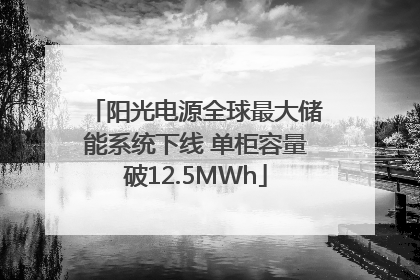 阳光电源全球最大储能系统下线 单柜容量破12.5MWh