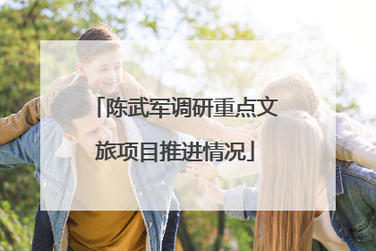 陈武军调研重点文旅项目推进情况
