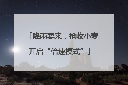 降雨要来，抢收小麦开启“倍速模式”