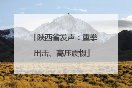 陕西省发声：重拳出击、高压震慑