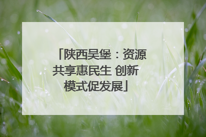 陕西吴堡：资源共享惠民生 创新模式促发展