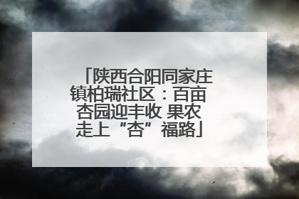 陕西合阳同家庄镇柏瑞社区：百亩杏园迎丰收 果农走上“杏”福路