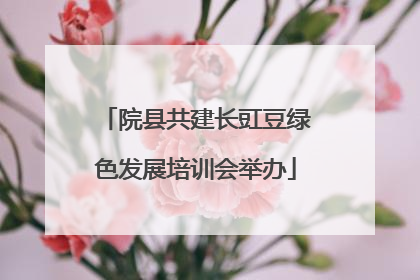 院县共建长豇豆绿色发展培训会举办