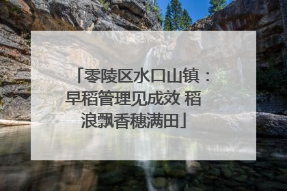 零陵区水口山镇：早稻管理见成效 稻浪飘香穗满田