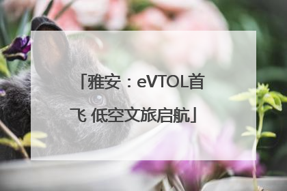 雅安：eVTOL首飞 低空文旅启航