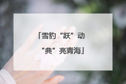 雪豹“跃”动 “典”亮青海