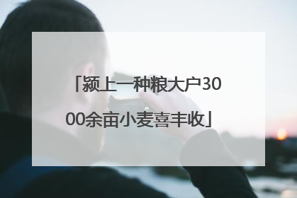 颍上一种粮大户3000余亩小麦喜丰收