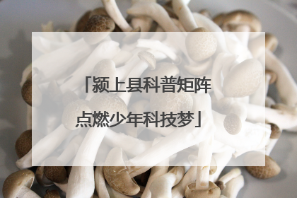 颍上县科普矩阵点燃少年科技梦
