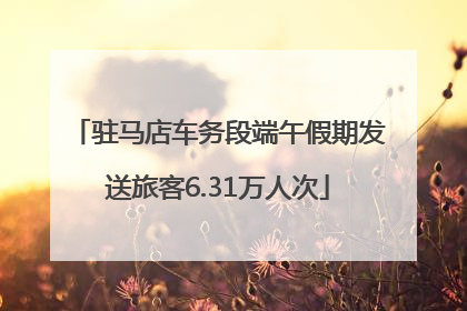 驻马店车务段端午假期发送旅客6.31万人次