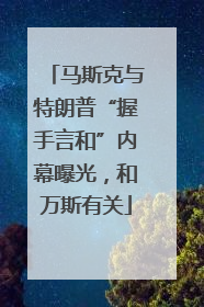 马斯克与特朗普“握手言和”内幕曝光，和万斯有关