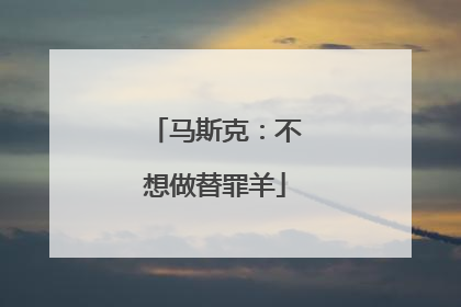 马斯克：不想做替罪羊