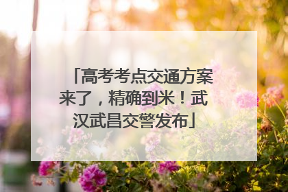 高考考点交通方案来了，精确到米！武汉武昌交警发布
