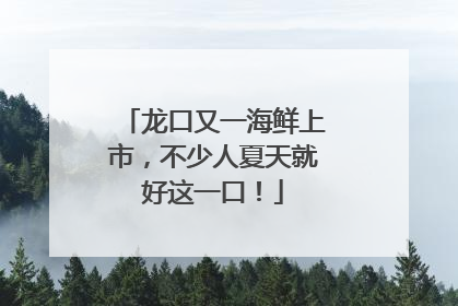 龙口又一海鲜上市，不少人夏天就好这一口！