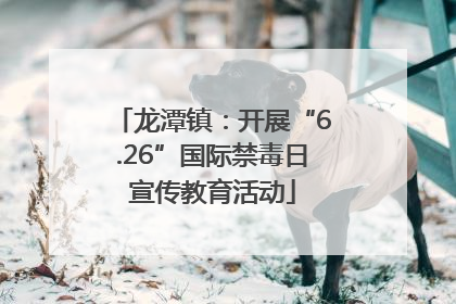 龙潭镇：开展“6.26”国际禁毒日宣传教育活动