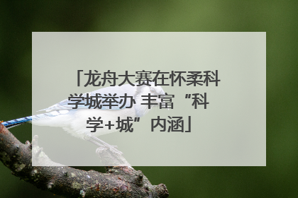 龙舟大赛在怀柔科学城举办 丰富“科学+城”内涵
