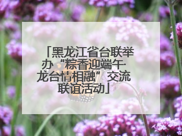 黑龙江省台联举办“粽香迎端午·龙台情相融”交流联谊活动